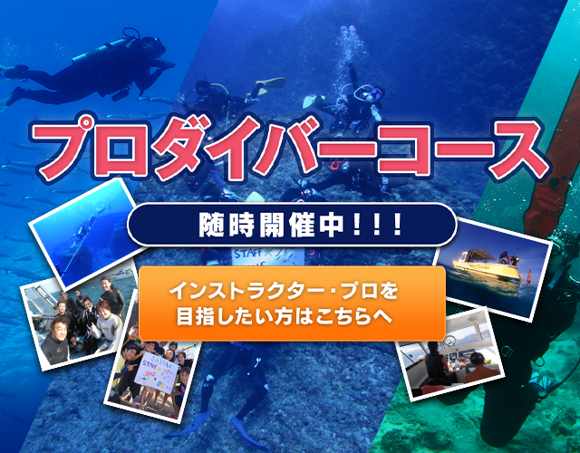 東京のダイビングスクール ダイビング免許取得ならブランニューシー