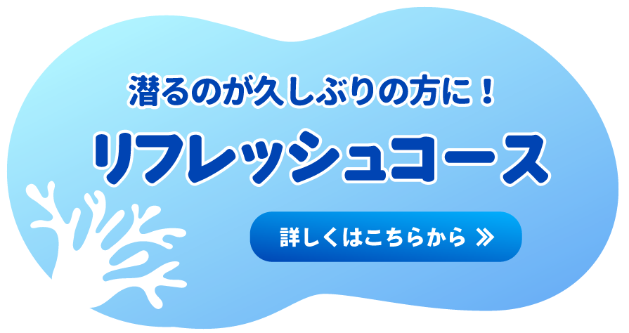 東京のダイビングスクール ダイビング免許取得ならブランニューシー